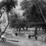 Bursa, Pınarbaşı 1900'ler.