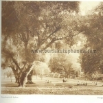 Pınarbaşı'nda kahve, 1894