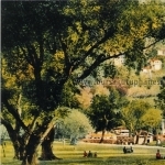 Pınarbaşı parkı. 19. yy.